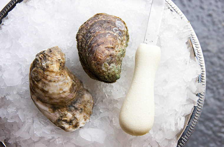 James River Oyster — Oysterology Online Pangea Shellfish Company